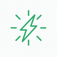 Lightning bolt icon representing energy and vitality